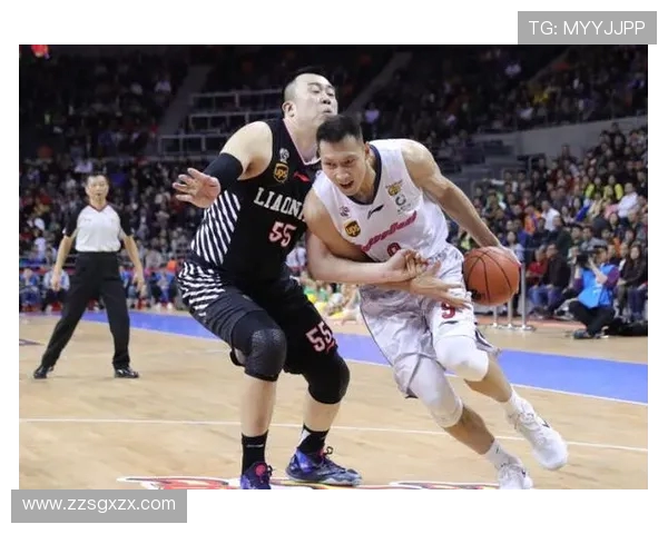 辽宁与山东的精彩对决比分揭晓究竟谁能胜出